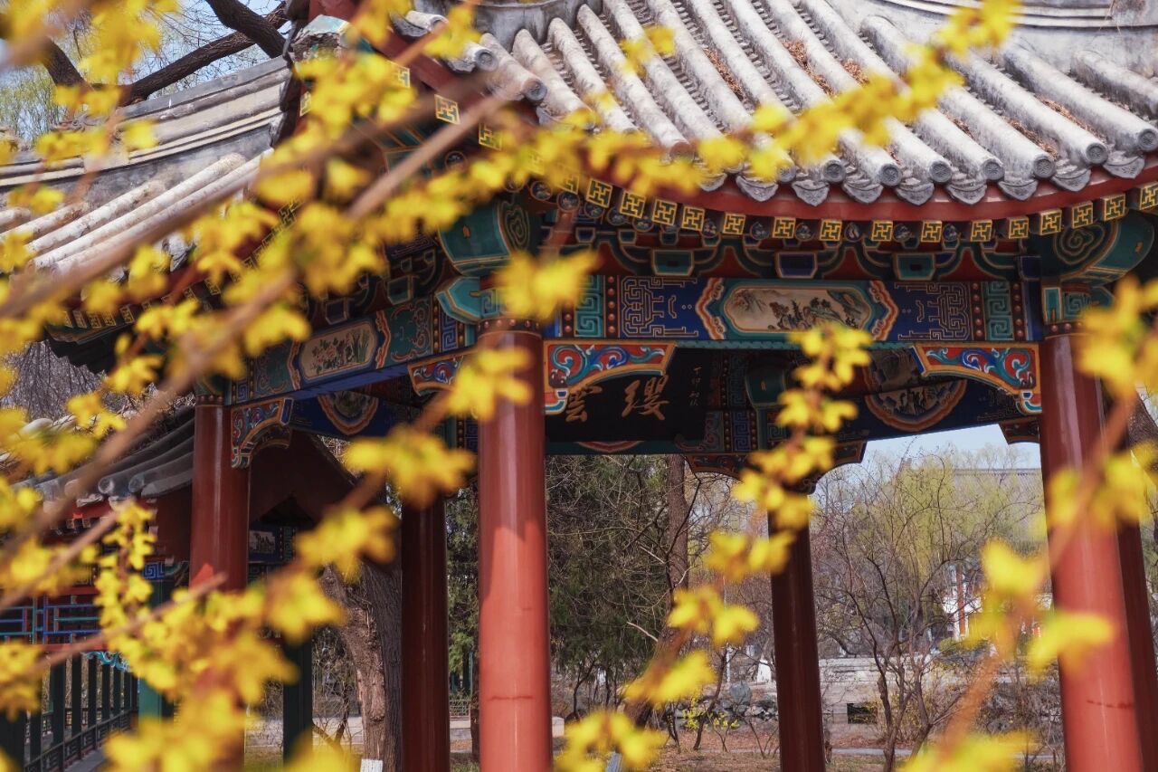 about-02 C954B0CA E759 4E5E 98C5 D2178F80E2A1